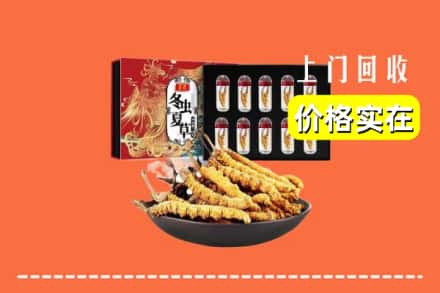上海卢湾区回收冬虫夏草